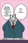 voeux-le-chat_reduit